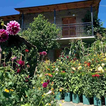Guesthouse Gouris Tsepelovo Esterno foto