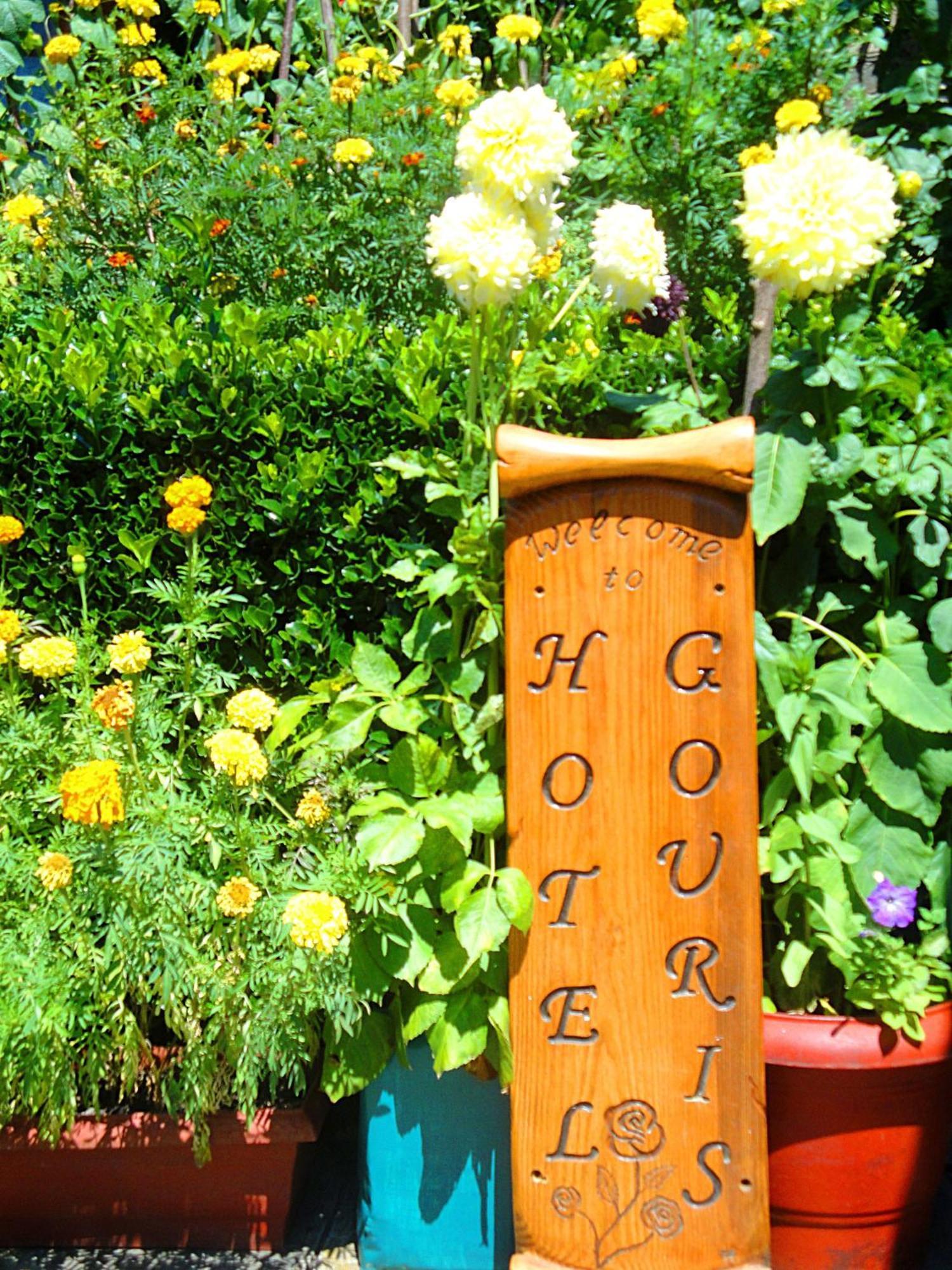 Guesthouse Gouris Tsepelovo Esterno foto