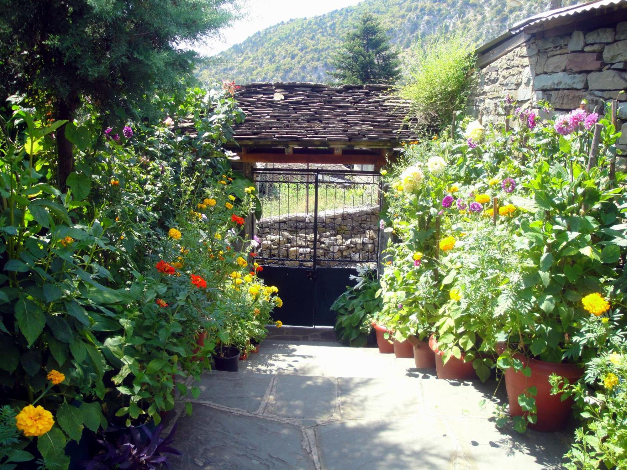 Guesthouse Gouris Tsepelovo Esterno foto