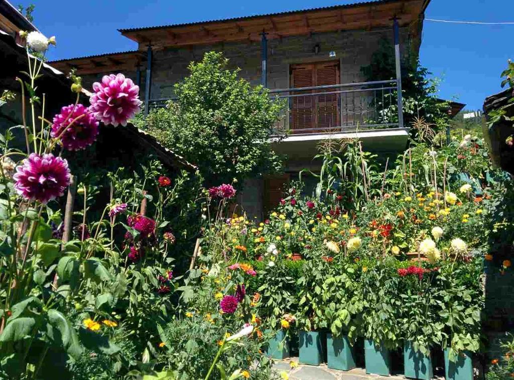 Guesthouse Gouris Tsepelovo Esterno foto