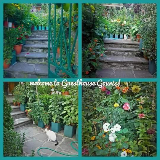 Guesthouse Gouris Tsepelovo Esterno foto